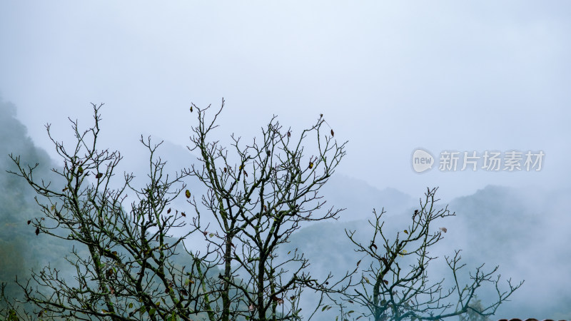 汉中留坝火烧店镇秦岭深处雨后山间的云雾