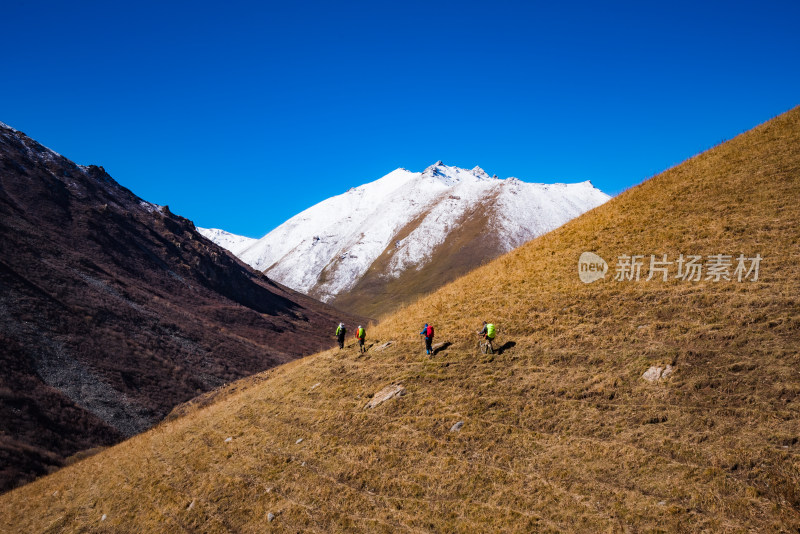 新疆天山山脉秋天雪山牧场风景