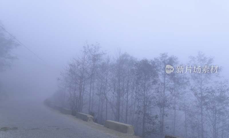 雾中道路与树木构成的朦胧景象