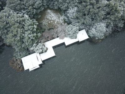 江南的第一场雪，摄于西湖花港观鱼