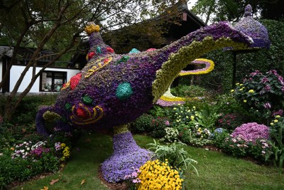 杭州植物园第十届杭州菊花展