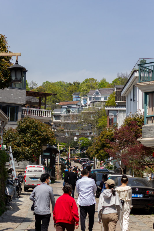 杭州杨梅岭绿意盎然的梯田式茶园