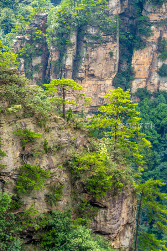 中国湖南张家界景区奇特山峰与茂密森林