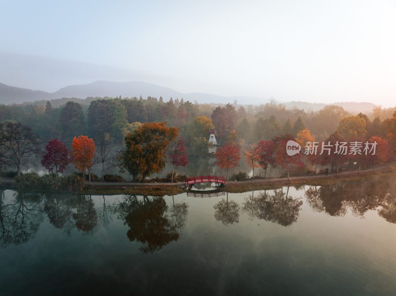 南京中山植物园前湖秋季风光