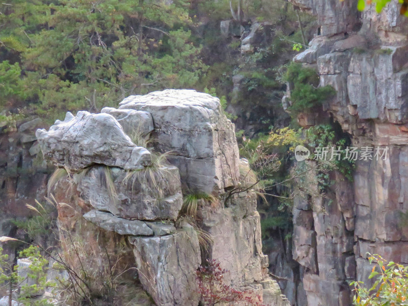 中国湖南张家界国家森林公园旅游风光