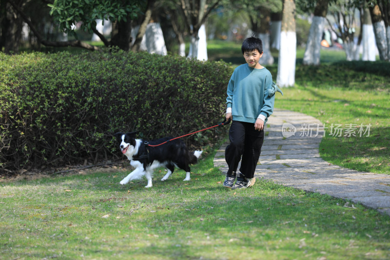 公园里牵着狗散步的中国小男孩