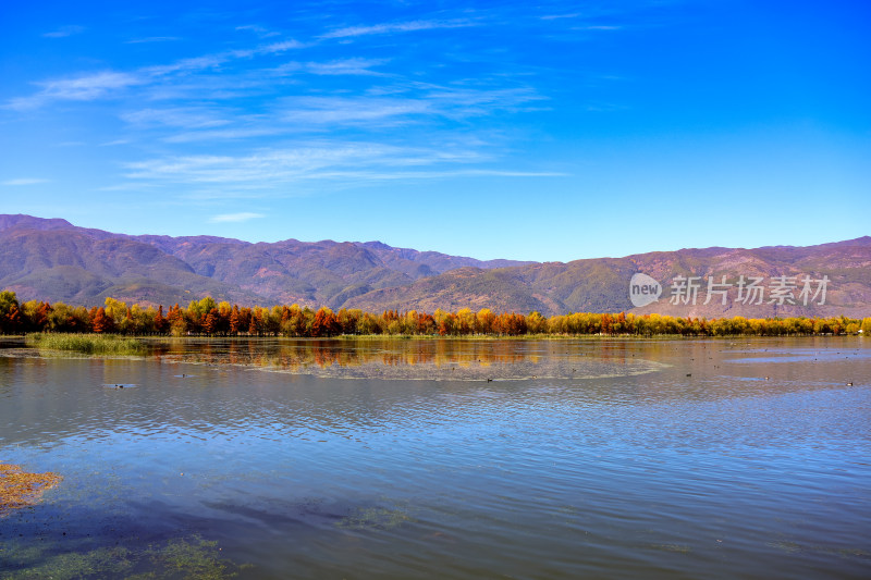 大理茈碧湖秋意盛景山水画卷