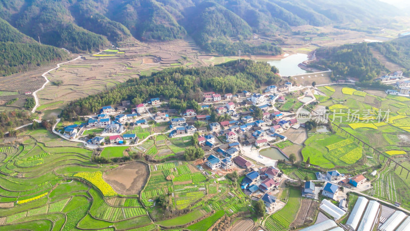 南方美丽乡村田园油菜花种植航拍