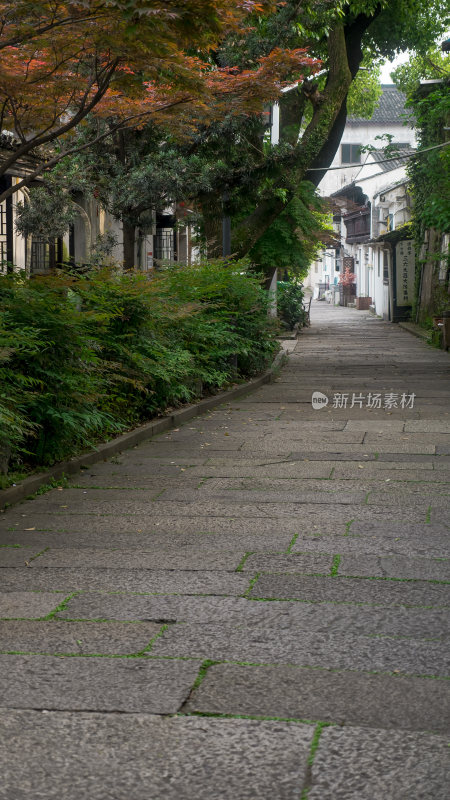 绍兴仓桥直街江南水乡风景