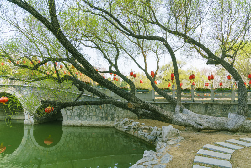 春天的青州范公亭公园风景