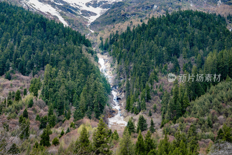 四姑娘山双桥沟