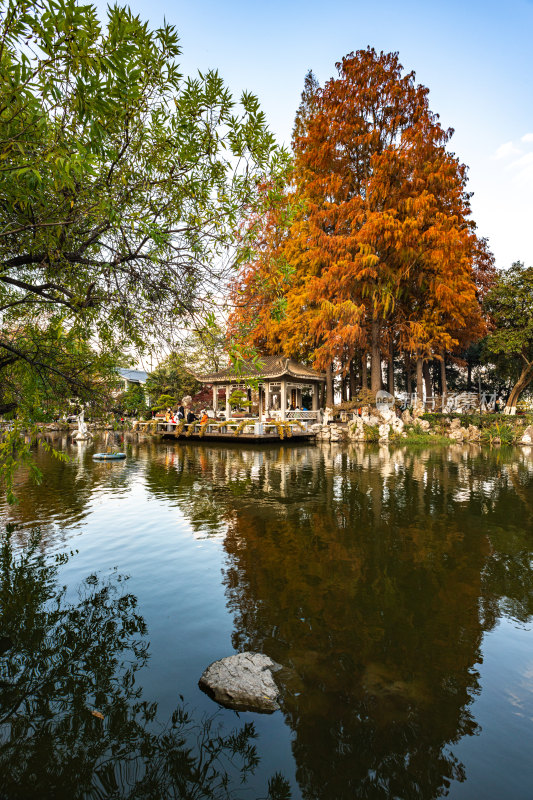 南京玄武湖秋色景观