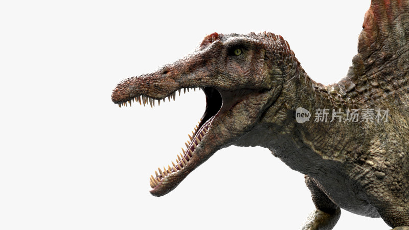 大型食肉恐龙 远古恐龙 侏罗纪白垩纪