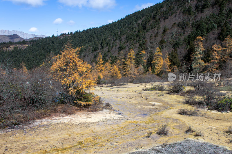 四川阿坝黄龙景区钙华地形秋色山林秘境