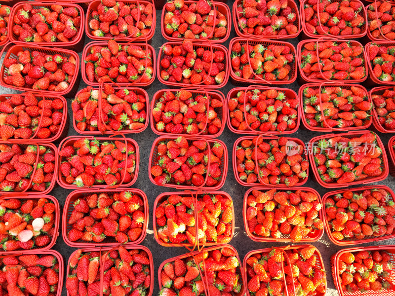 许多篮子草莓在地上