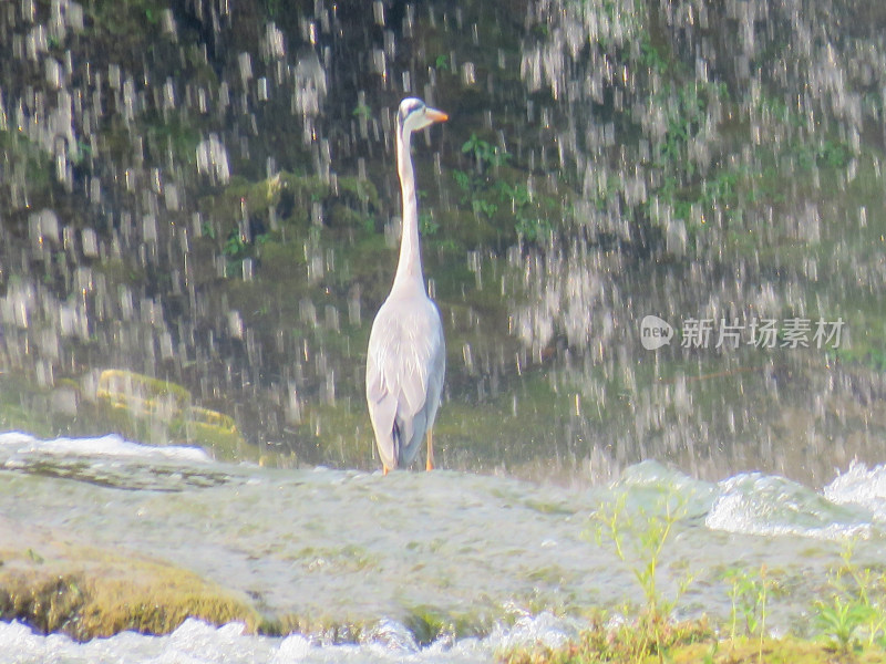 中国贵州安顺黄果树瀑布旅游风光