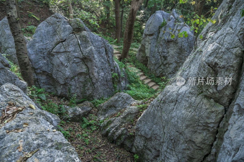 杭州凤凰山景区月岩石灰岩石林