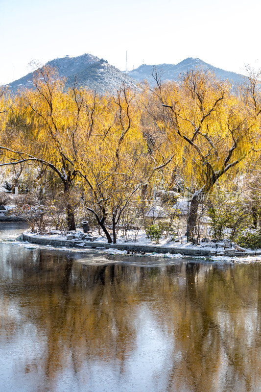 济南泉城公园自然景观雪景