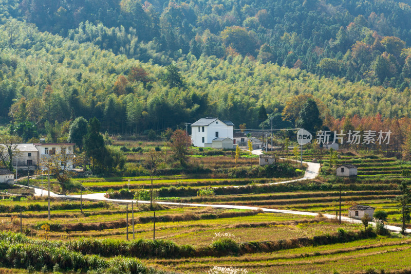 田园风光 山里的小房子