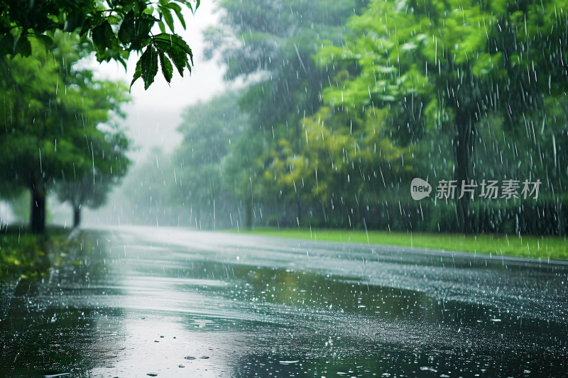 自然风景植物背景雨水