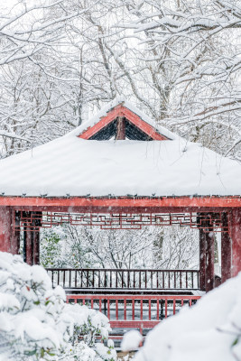 大雪中树林里的亭子