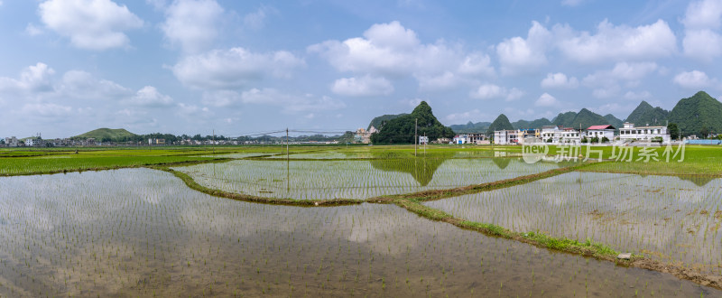 贵州安顺田园风景风光