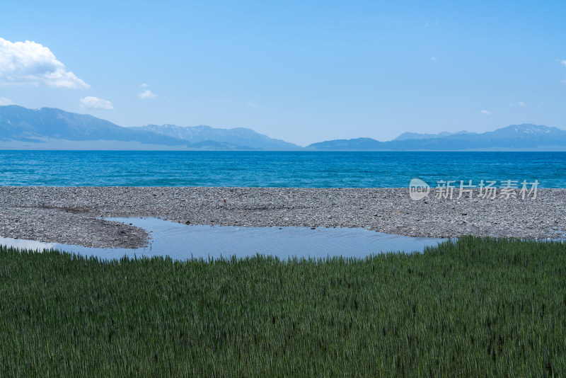 夏天的新疆赛里木湖