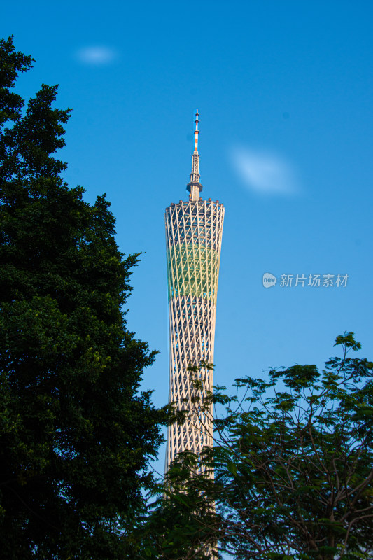 中国城市景观   广州