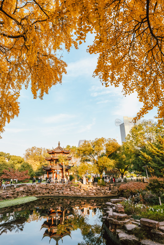 宁波中山公园里的银杏黄叶和古建筑塔