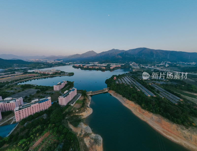 仰恩大学