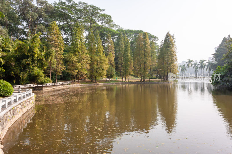 广州天河公园