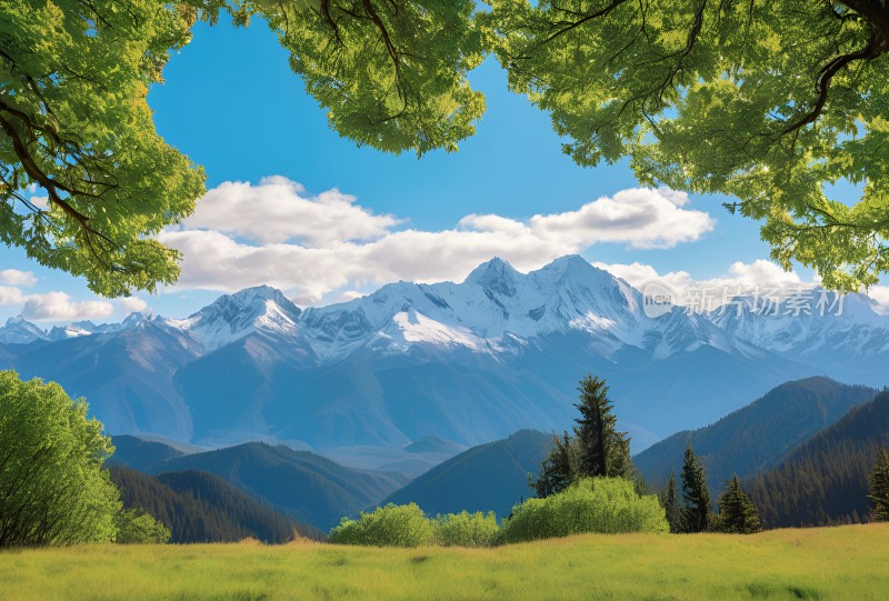 雪山高原草原森林风景