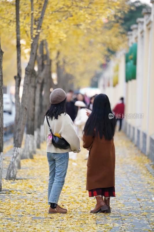 秋季行走在银杏树下的女人