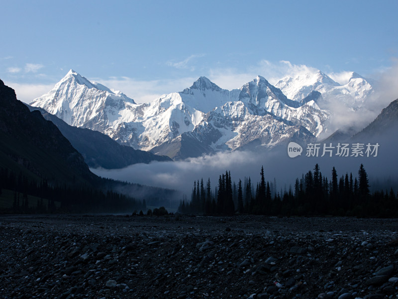 新疆伊犁，早晨晨雾中的森林雪山自然风景