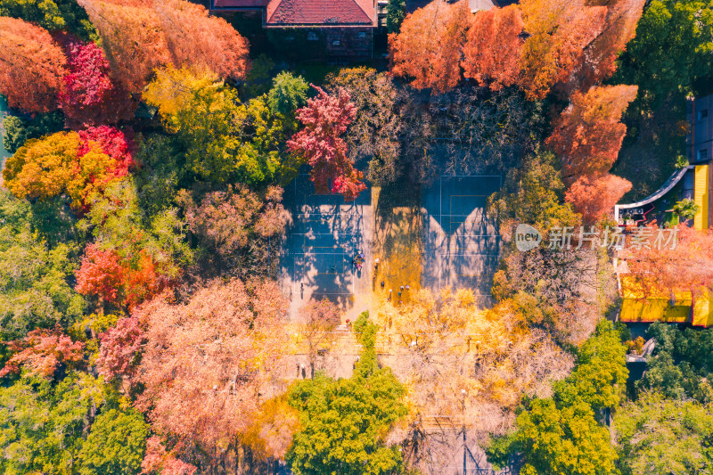 苏州大学天赐庄校区秋天航拍