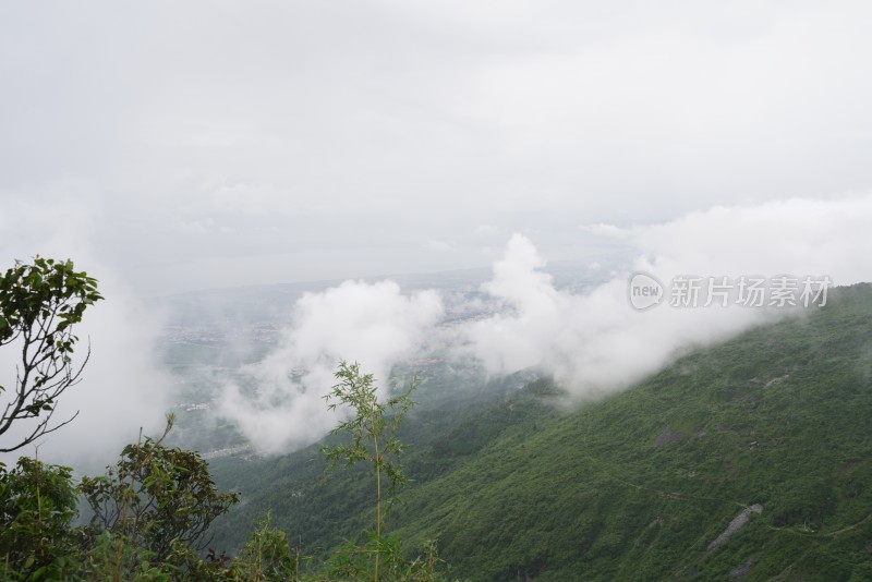 云雾缭绕的山林自然景观