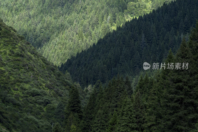 夏天长焦视角下的山川峡谷自然风光