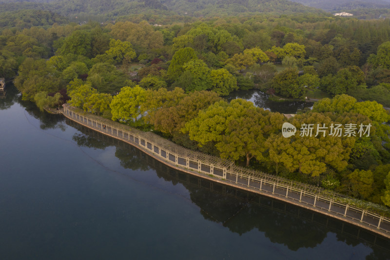 杭州西湖十景花港观鱼春天航拍