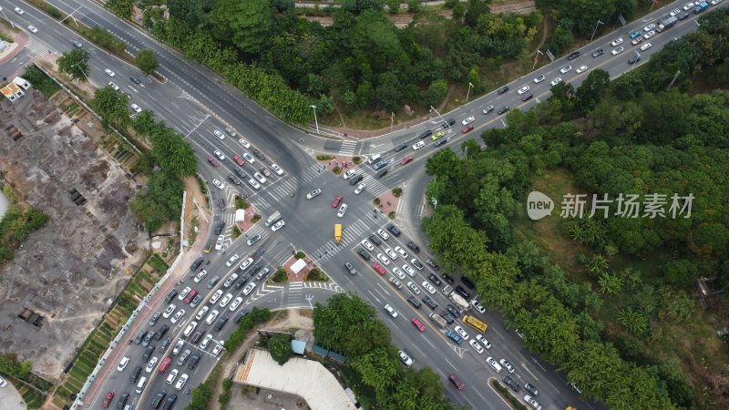 广东东莞：早高峰道路上车流量大