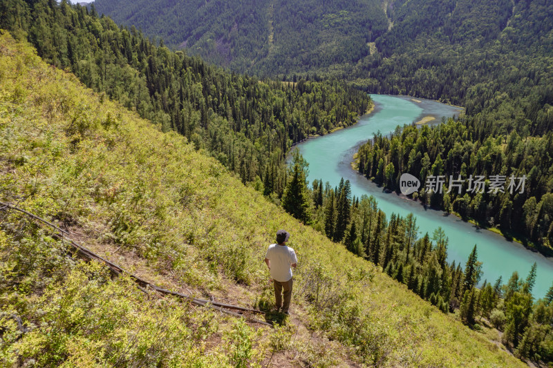 航拍新疆喀纳斯景区树木森林溪流