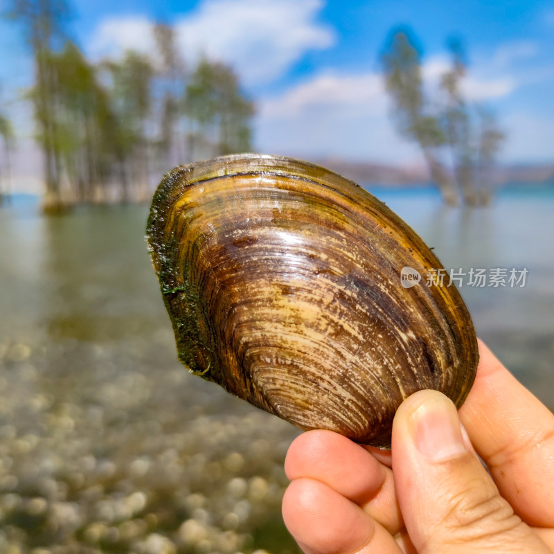 云南大理洱海风光摄影图