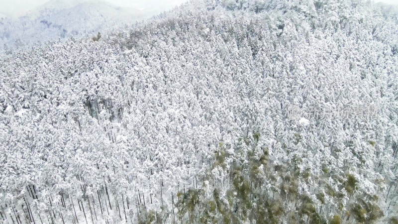 航拍大山森林冬天雪景迷雾