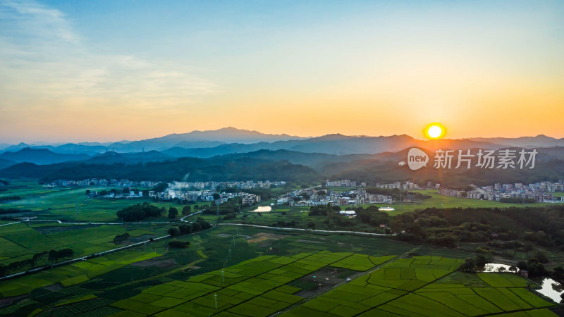 粤港澳大湾区稻田风光