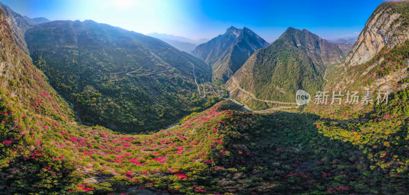 三峡红叶