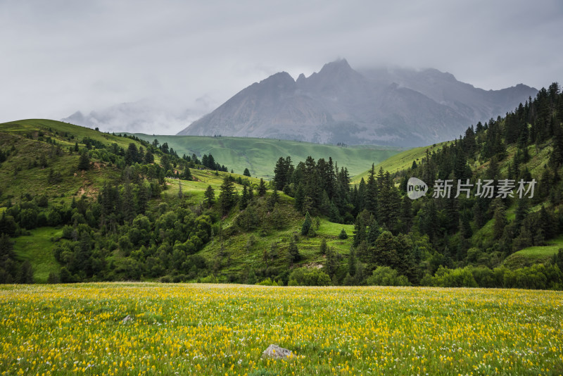 山脉 山谷 草原