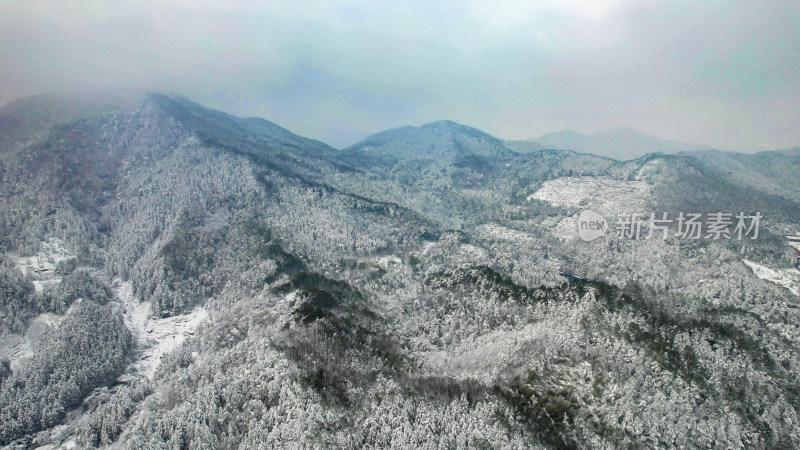 森林雪景