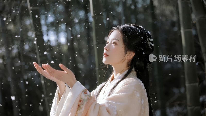 立冬古风女子雪中唯美意境背景