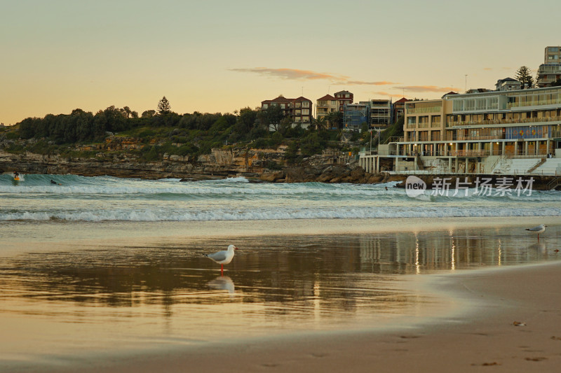 悉尼邦迪沙滩，bondi beach，日落与倒影