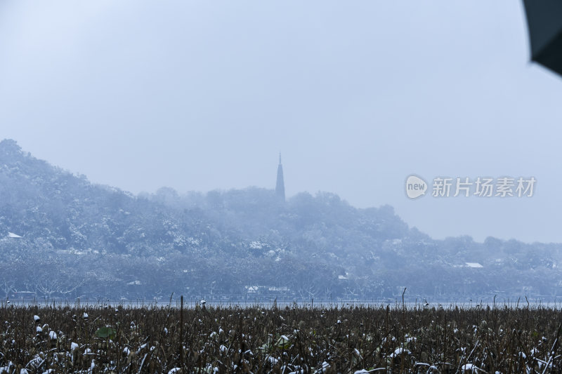 杭州西湖冬天江南雪景