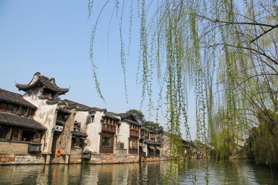 春季古镇江南小镇乌镇风光